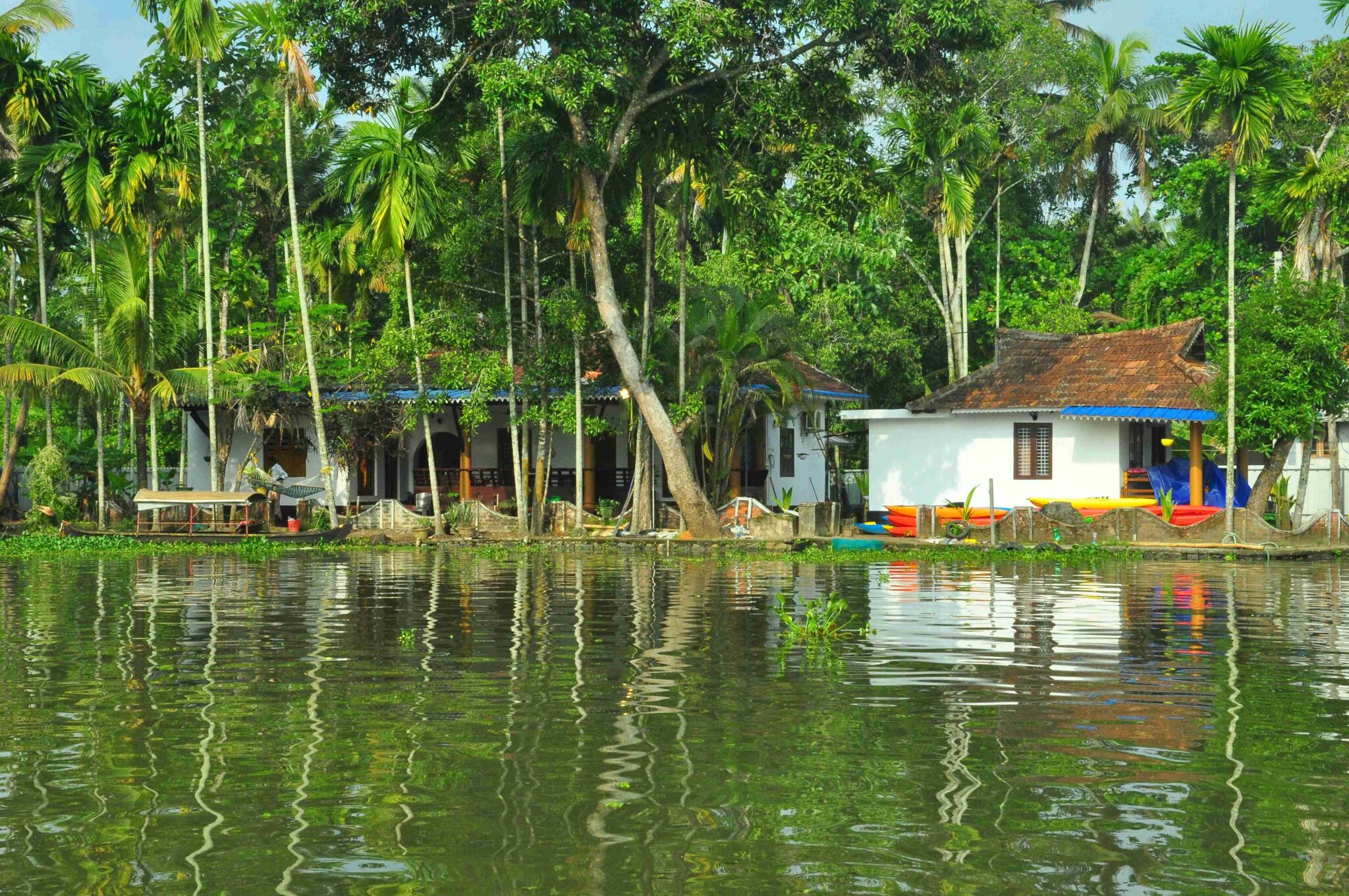 alleppey tour package